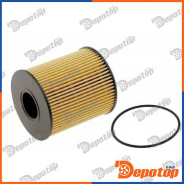 Filtre à huile pour FORD | 038337, 06020011